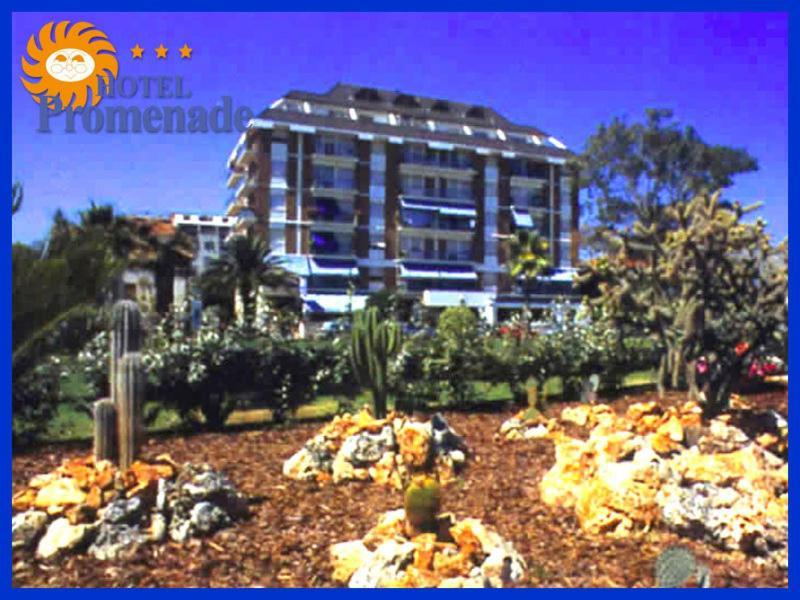 Hotel Promenade Porto SantʼElpidio Dış mekan fotoğraf