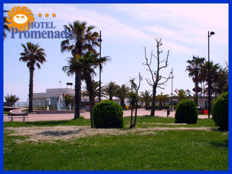 Hotel Promenade Porto SantʼElpidio Dış mekan fotoğraf