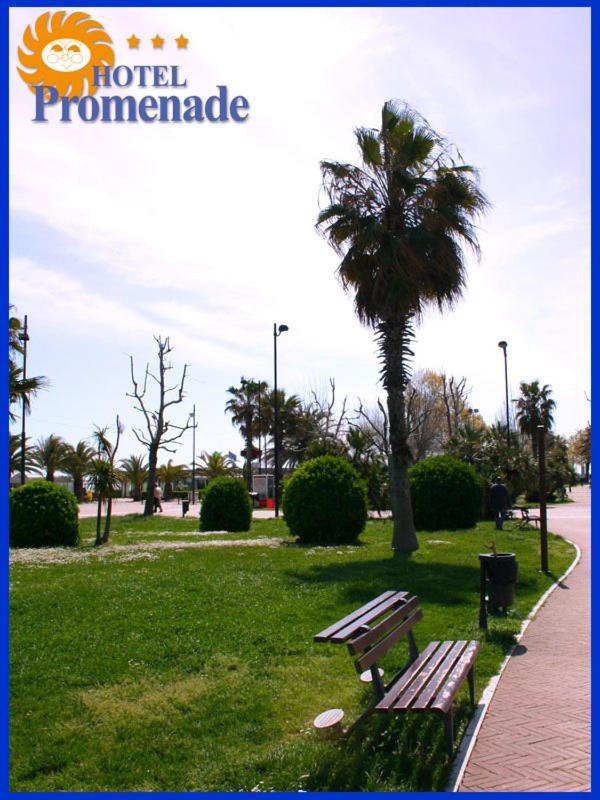 Hotel Promenade Porto SantʼElpidio Dış mekan fotoğraf